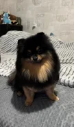 �������� ����. ����
