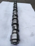 ���������� 1537778 1537778 ����