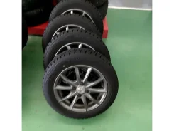 Manaray Sport Euromax
