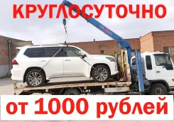 ��������� �����������, �������. ����