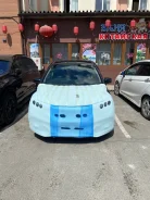 �������� �����������. �� ������� �.�. ����� ��������������� 218 ����