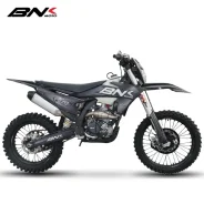 BNK K10 NB300