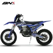 BNK K10 YBS300