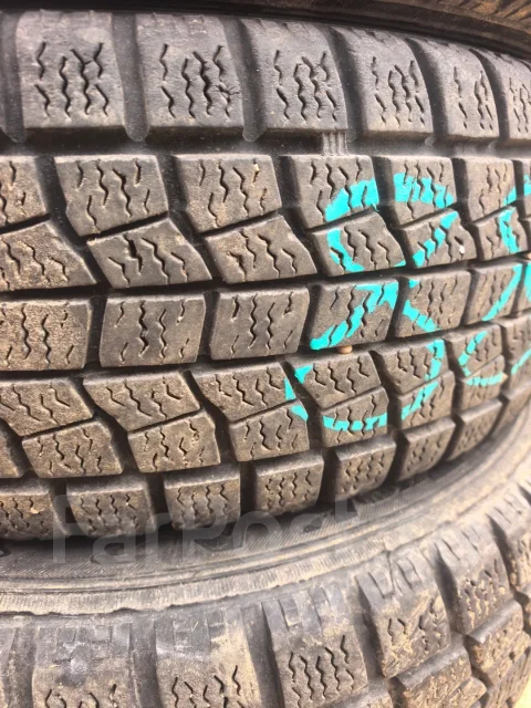 NorthTrek. ������, ��� �����, 2013 ���, �/�, ����� 10 % ����