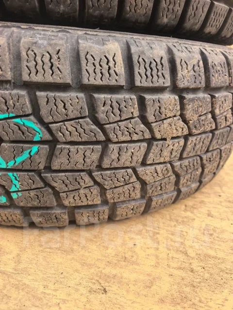 NorthTrek. ������, ��� �����, 2013 ���, �/�, ����� 10 % ����