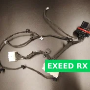 ���������� ���� �������� ���� ����� Exeed RX 605001005AA ����