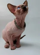 ��������� ������. ����