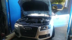 Audi A5. WAUZZZ8T8AA020490, CDNC ����