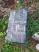 Yamaha ����