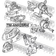������� ��������� (��������������) | ����� ����/��� | Toyotarav4, Vanguard ACA3, GSA33, RAV4 (JPP) ACA3, ASA3, GSA3, Alphard, VE Febest Tmanh25RH TMAN...