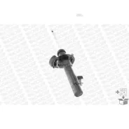 ����������� �������� GAS L OE Spectrum FORD Kuga 08- Monroe 742197SP 742197SP ����