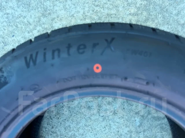 Triangle WinterX TW401. ������, ��� �����, 2026 ���, ����� ����