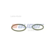 ��������� ��������, ��������� ������ DAF 99209 ����