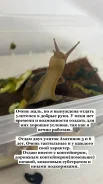 ������� ����������. ����