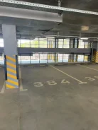 ����� �����������. ����