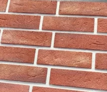 ������ ������������. ����