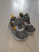 ���������. 23 ����