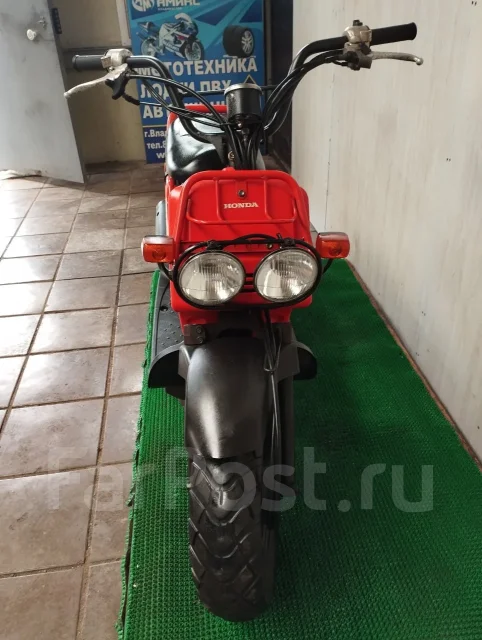 Honda Zoomer. 49����. ��., ��������, ��� ���, ��� ������� ����