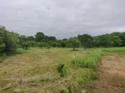 ��������� �������. ������� ���������. 15����., ��� ������� ������� ���������� ���������, �������������. ���� ������� ����