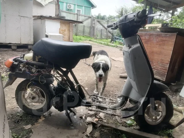 Suzuki Ran. 59����. ��., ����������, ��� ���, ������ �� �� ����