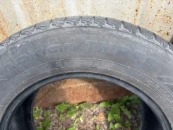 Nordman S2 SUV. ������, 2020 ���, �/�, ����� 45 %. �������� ������ ����