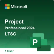 Microsoft Project. ����