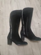 ������ 37�. ����