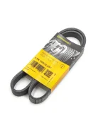 ������ ������������ ���������� Contitech 6PK1029Elast 6PK1029Elast 6PK1029ELAST ����