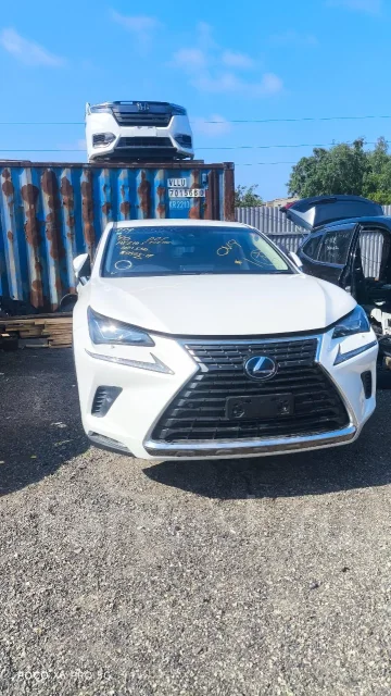 Lexus NX300h ����