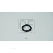 ��������� ��������� ���������� Quattro Freni QF76A00054 Quattro Freni QF76A00054 QF76A00054 ����
