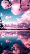 ���� �� �������� �� 8 ��� ����