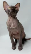��������� ������. ����