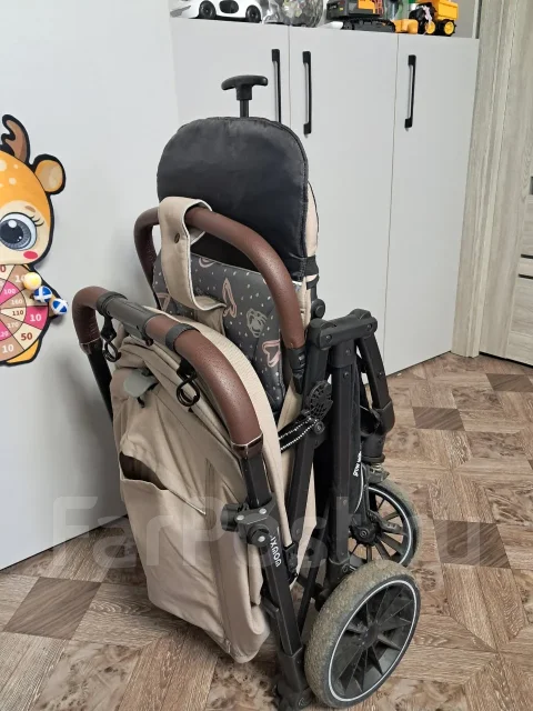 ������� �����������. ����