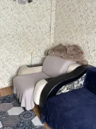 ��������, ����� ����������� 7. �����������, 18���.��., 7/9 ���� ����