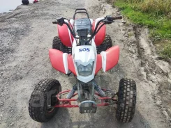 Irbis ATV250S. ��������, ��� ���\���, �� ����