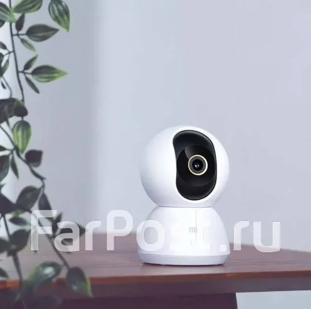 IP-������. ����