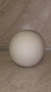 ��������. ����
