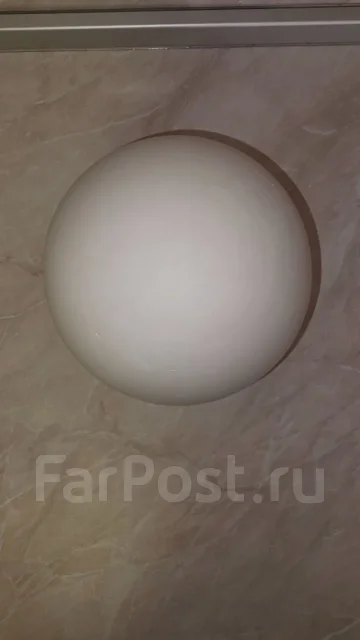 ��������. ����
