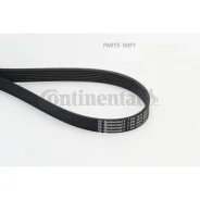 ������ ������������ Contitech Continental 7PK1970 7PK1970 ����