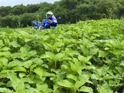 Kawasaki ZZR 400 2. 400����. ��., ��������, ���������, ������ �� �� ����