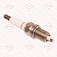 ����� ��������� THS1009 (8894/ZFR6V-G)* Tatsumi (������) Tatsumi THS1009 ����