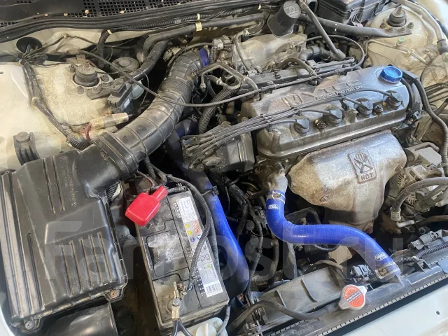 Honda Torneo. CF3, F18B ����