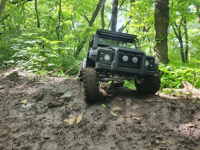 �����. ����