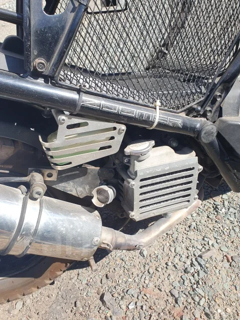 Honda Zoomer. 49����. ��. ����