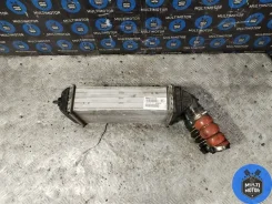 ���������� 9803900780 ����