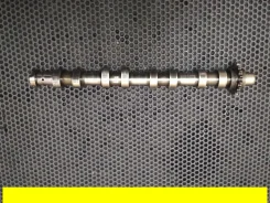 ���������� ���������, 308, DV6TED4, 0801AH 0801AH ����