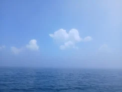 �������, ���������. ��� " �������". � �������� ����