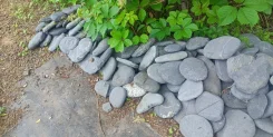 �����, ������ ��������� ������ ����