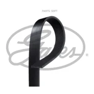 ������������ ������ Gates 8PK2485 - 8PK2485 ����