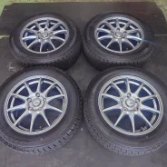 Abelia Sport